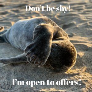 Don't be shy: I'm open to offers!